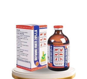 OXYDON FORTE 20% LA