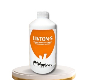 LIVTON-S