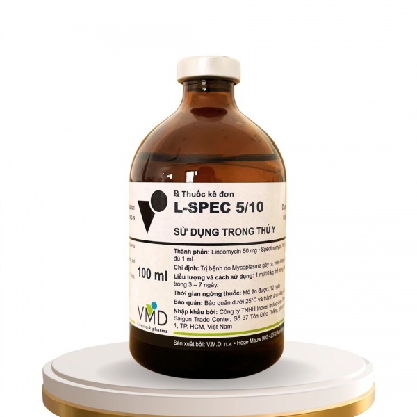  L-SPEC 5/10TRAIN