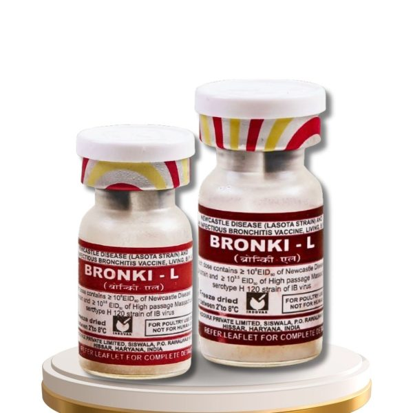 BRONKI – L